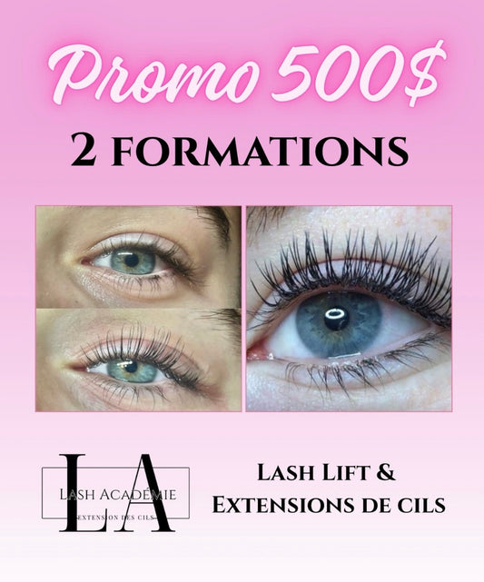 Formations sélectionnées *
