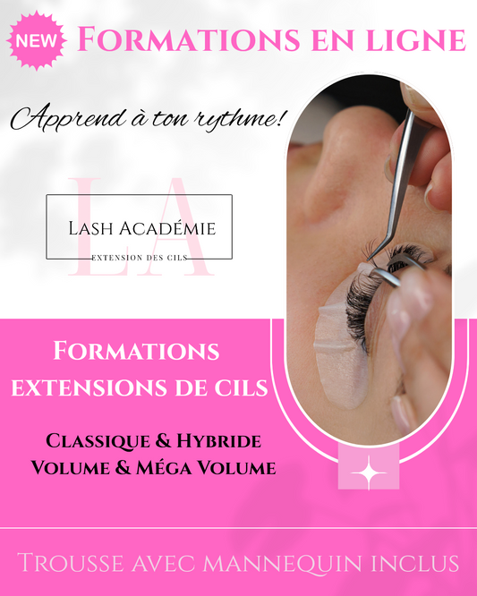 EN LIGNE CLASSIQUE HYBRIDE
